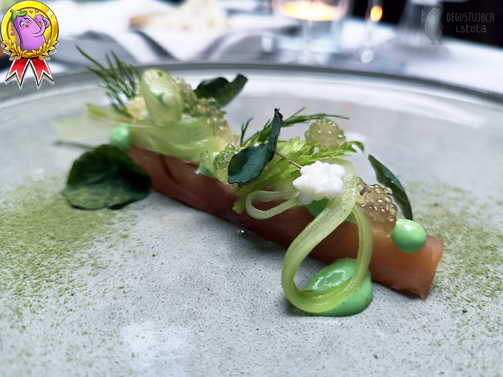 A rectangular piece of salmon is placed on a gray plate. Green leaves and thin strips of celery and white and transparent balls are placed on the salmon. Next to the salmon are portions of green wasabi cream.