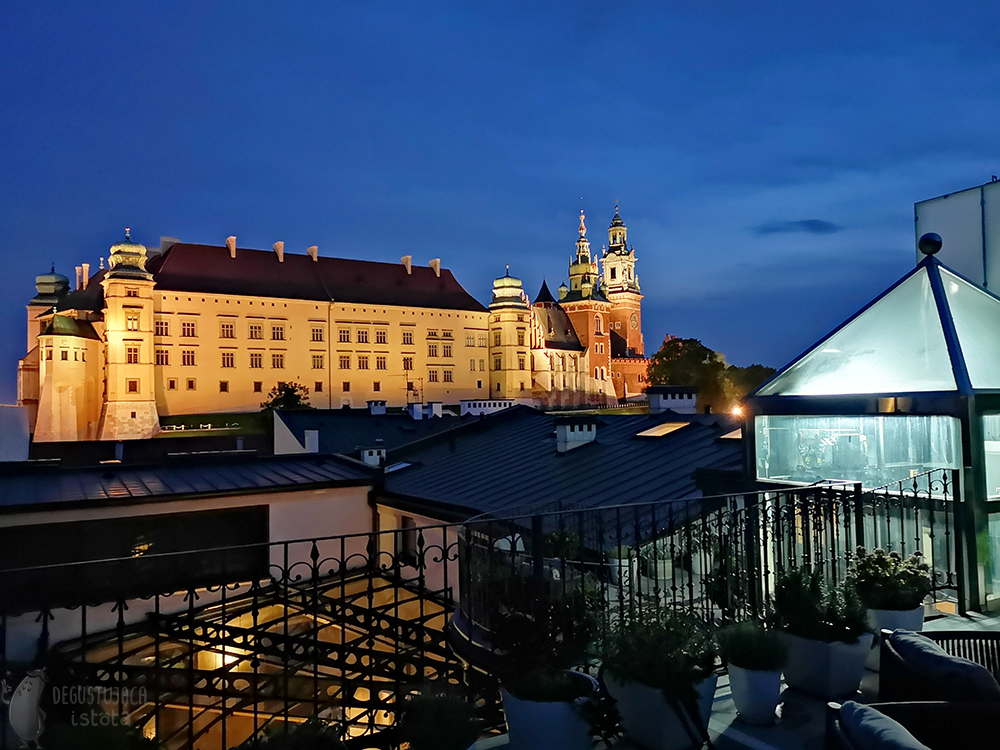 Jest już ciemno i widać pięknie oświetlony Wawel.