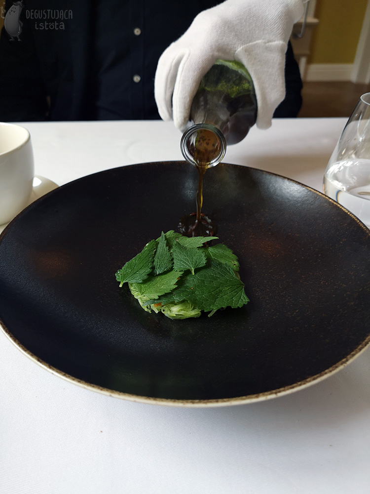 Ze szklanej butelki nalewana jest zupa z siemieniem lnianym na ciemno brązowy talerz z zielonym makaronem przykrytym zielonymi listkami jasnotki.